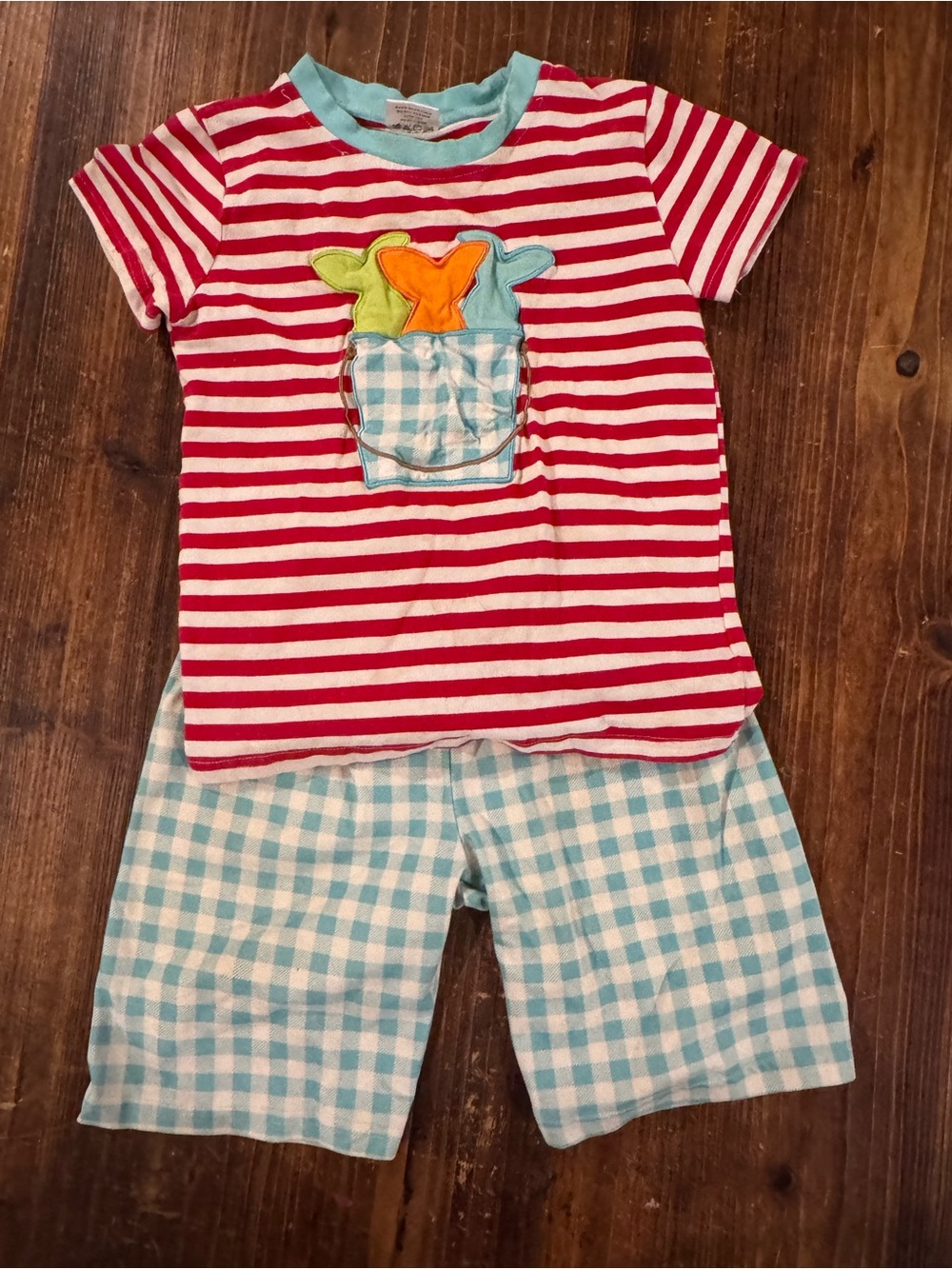 Red & White Striped Tee with Blue Gingham Shorts Set